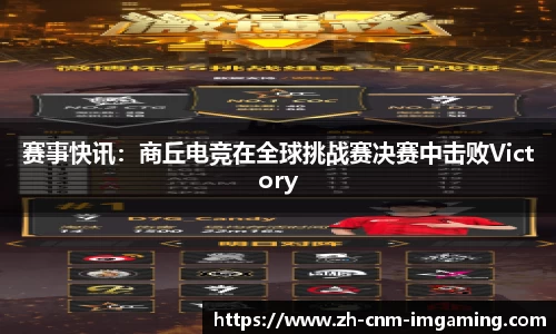 IM电竞官方网站